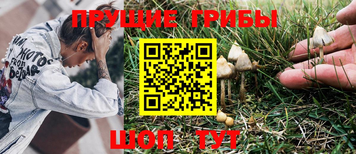 Псилоцибиновые грибы мухоморы Кушва